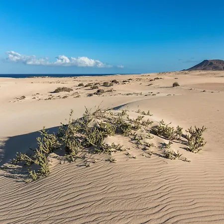Apartamento 2br - Solarium & Barbacue Corralejo